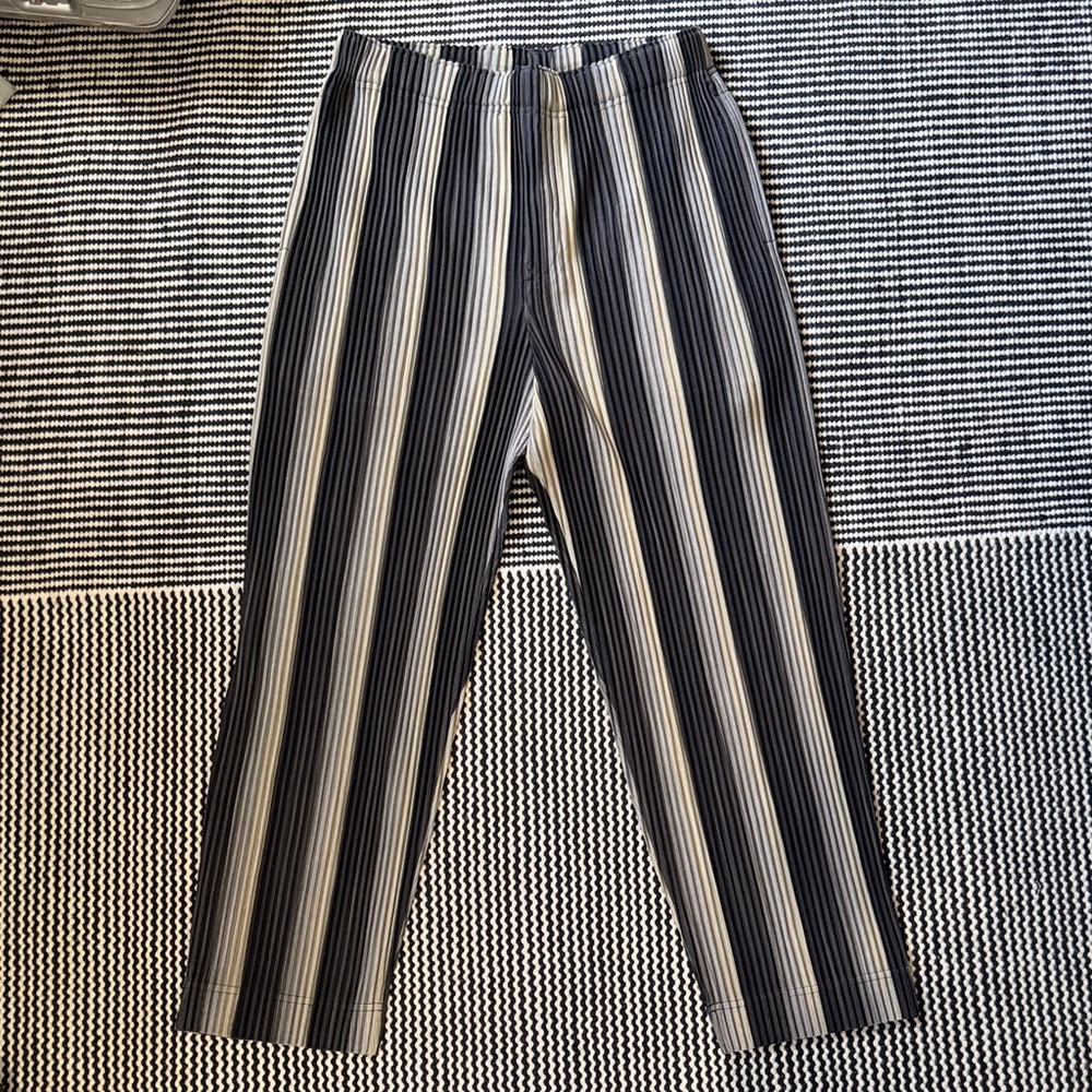 NWT Issey Miyake Striped Men's Pants